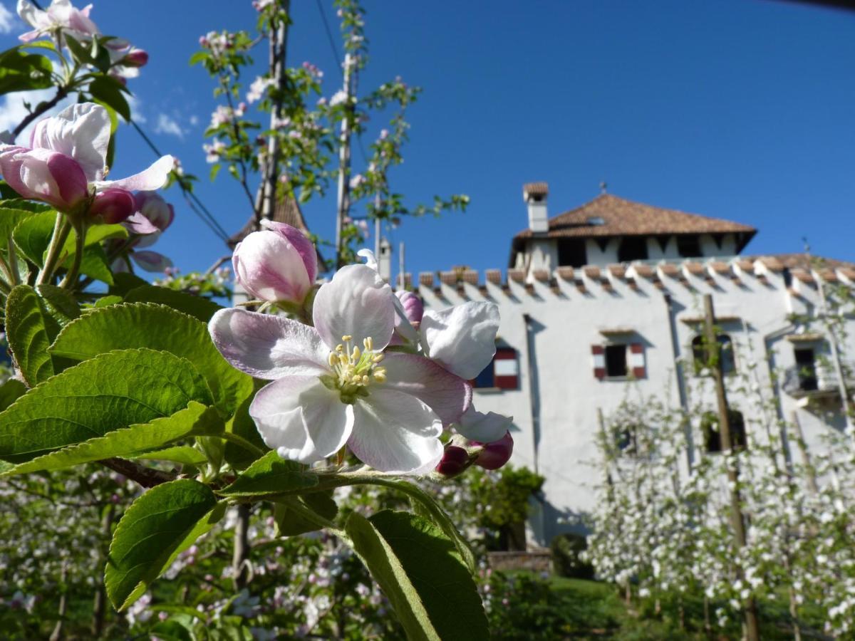Apartments Schloss Paschbach アッピアーノ・スッラ・ストラーダ・デル・ヴィーノ エクステリア 写真