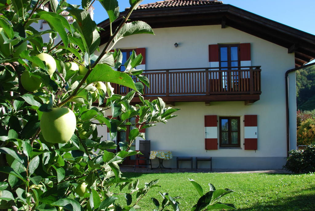 Apartments Schloss Paschbach アッピアーノ・スッラ・ストラーダ・デル・ヴィーノ 部屋 写真