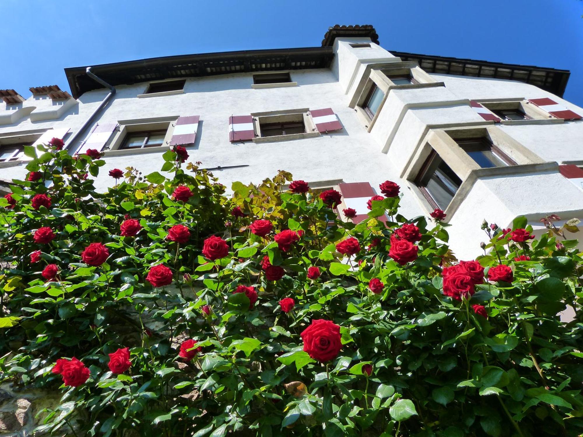 Apartments Schloss Paschbach アッピアーノ・スッラ・ストラーダ・デル・ヴィーノ エクステリア 写真